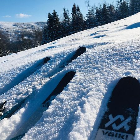 Widokowy Apartament Jodlowa Ski&Bike Щирк Экстерьер фото