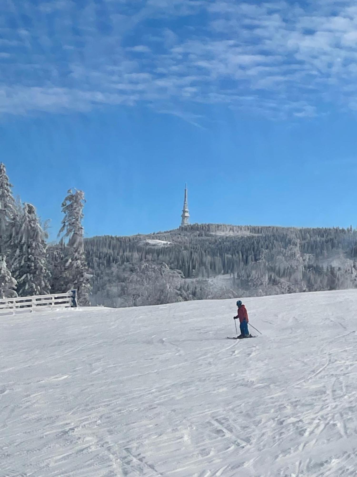 Widokowy Apartament Jodlowa Ski&Bike Щирк Экстерьер фото